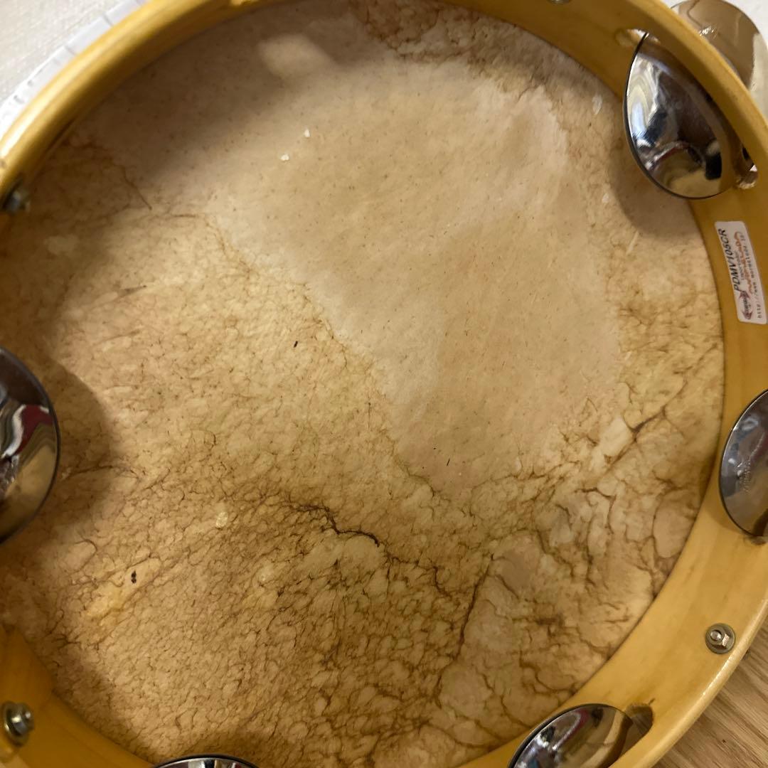 パンデイロ　CONTEMPORANEA PDMV105CR+ケース