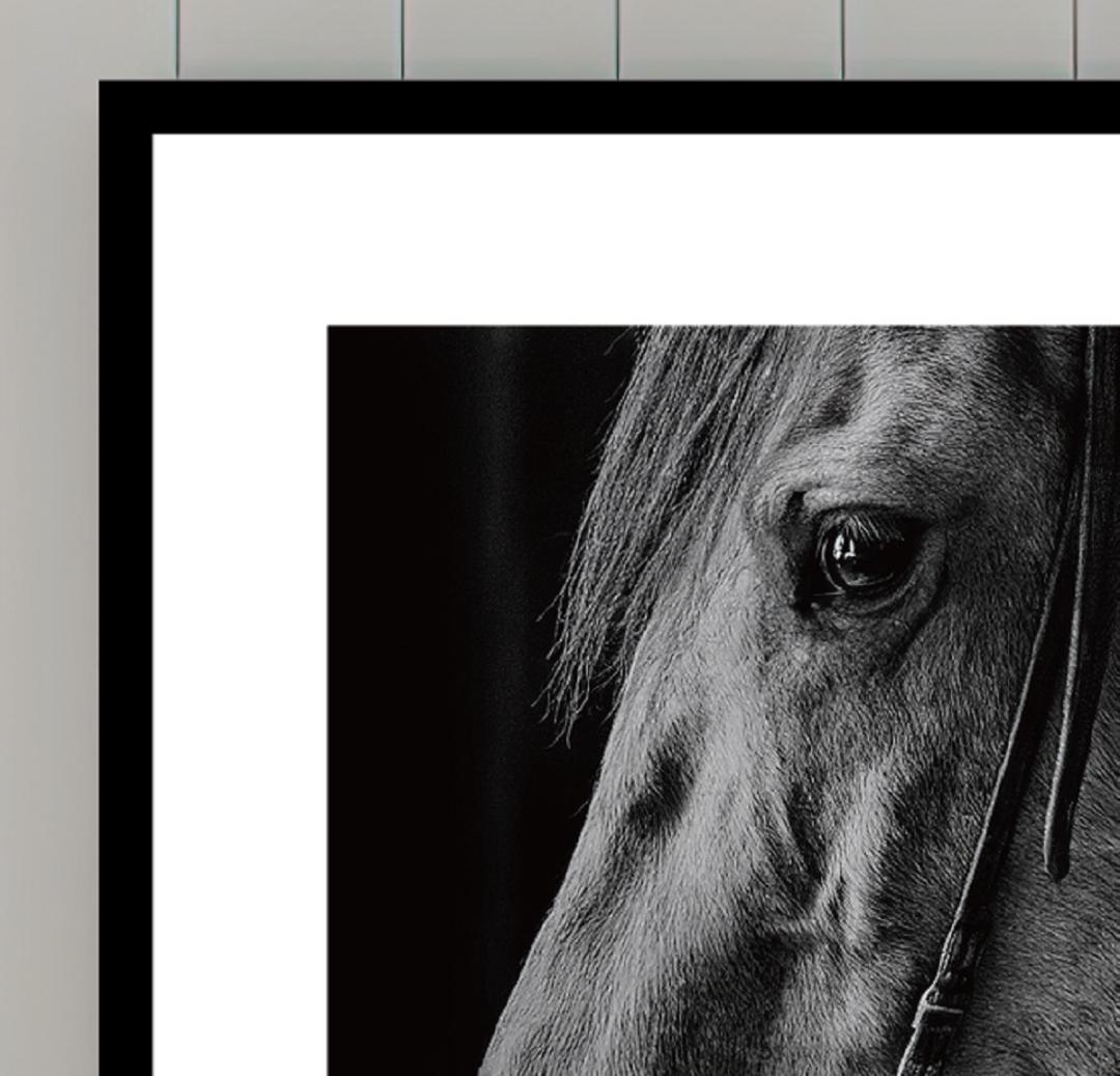 馬・No.005／アートポスター　400×500