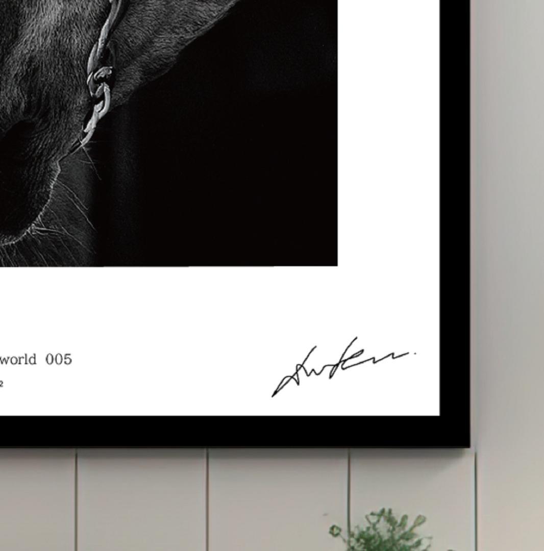 馬・No.005／アートポスター　400×500