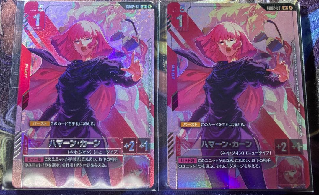 ハマーン　ニュータイプチャレンジ　2枚