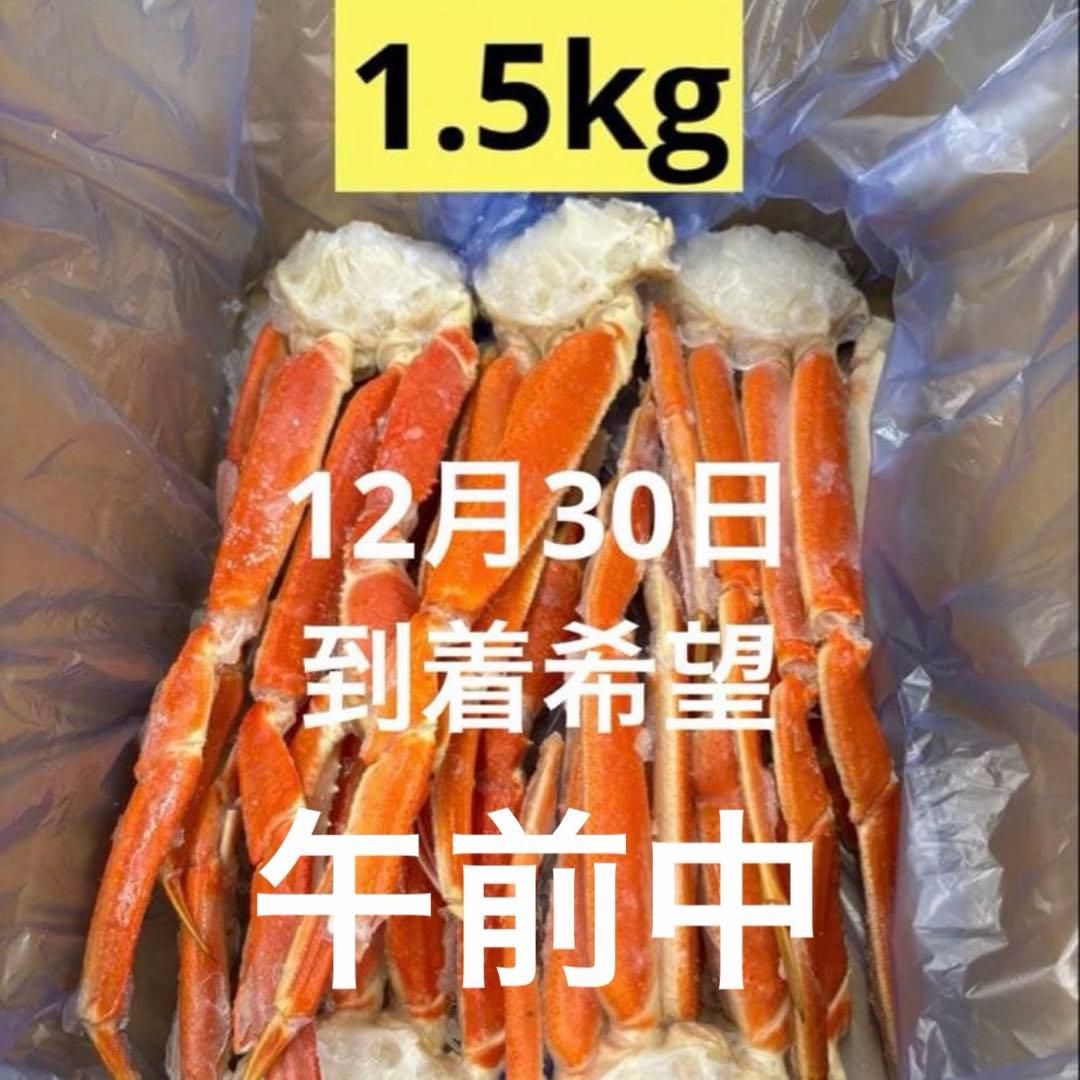 【12月30日午前到着希望】tia♡ 1.5kg