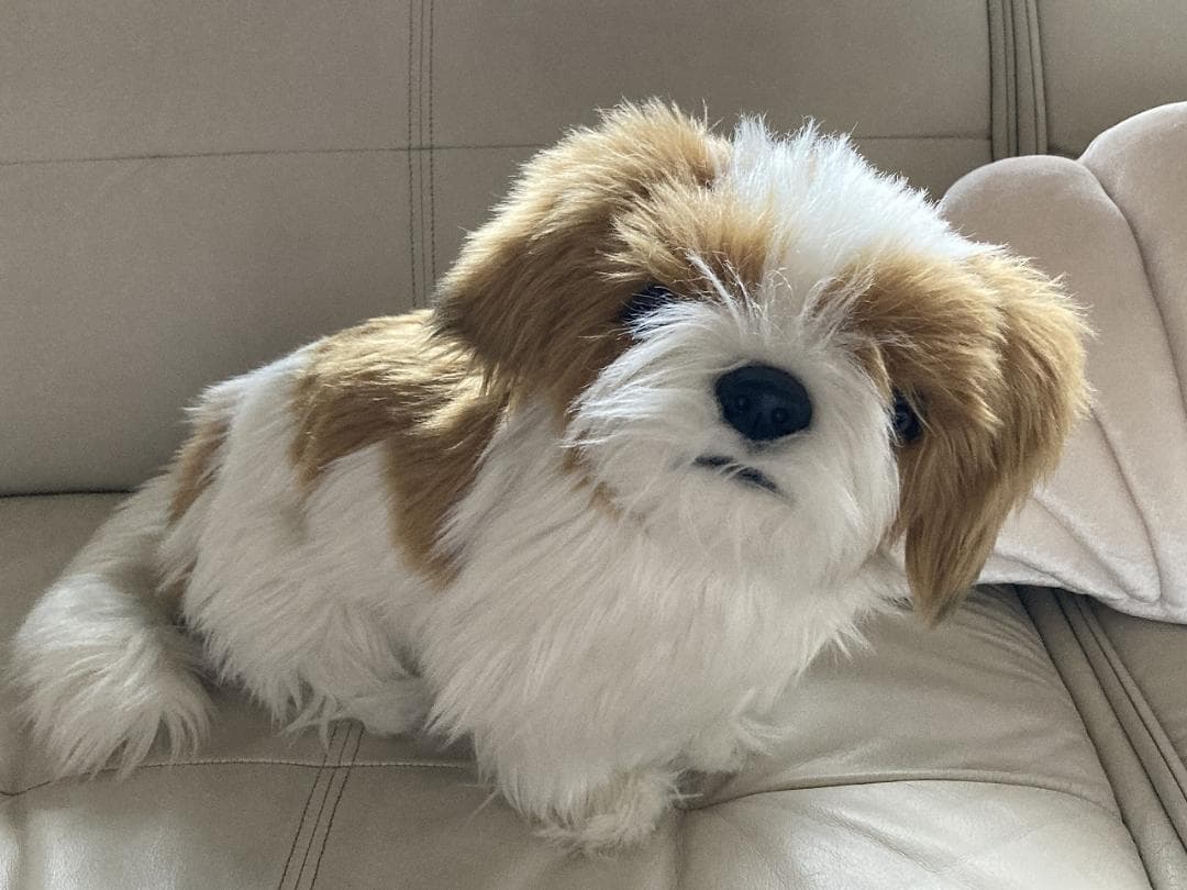 売約済み　HANSA　シーズー　ティディベア２点セット