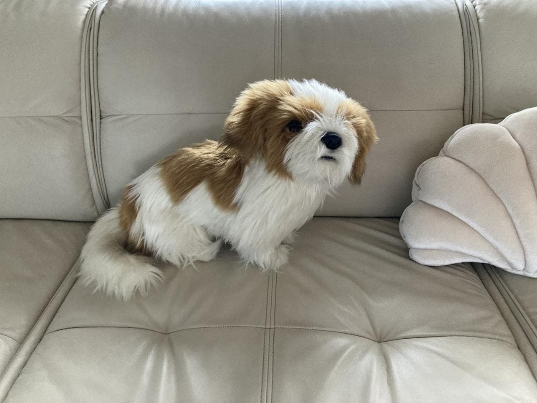 売約済み　HANSA　シーズー　ティディベア２点セット