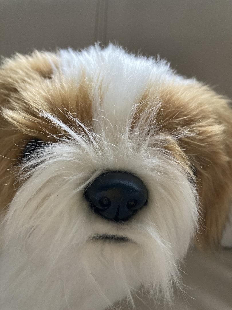 売約済み　HANSA　シーズー　ティディベア２点セット