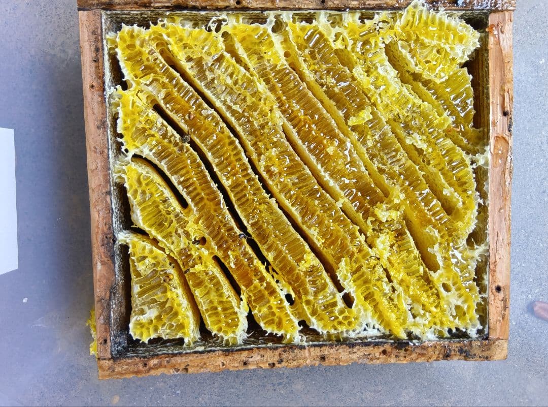 ニホンミツバチはちみつ南国土佐の百花蜜　無添加　無加工　たれ蜜