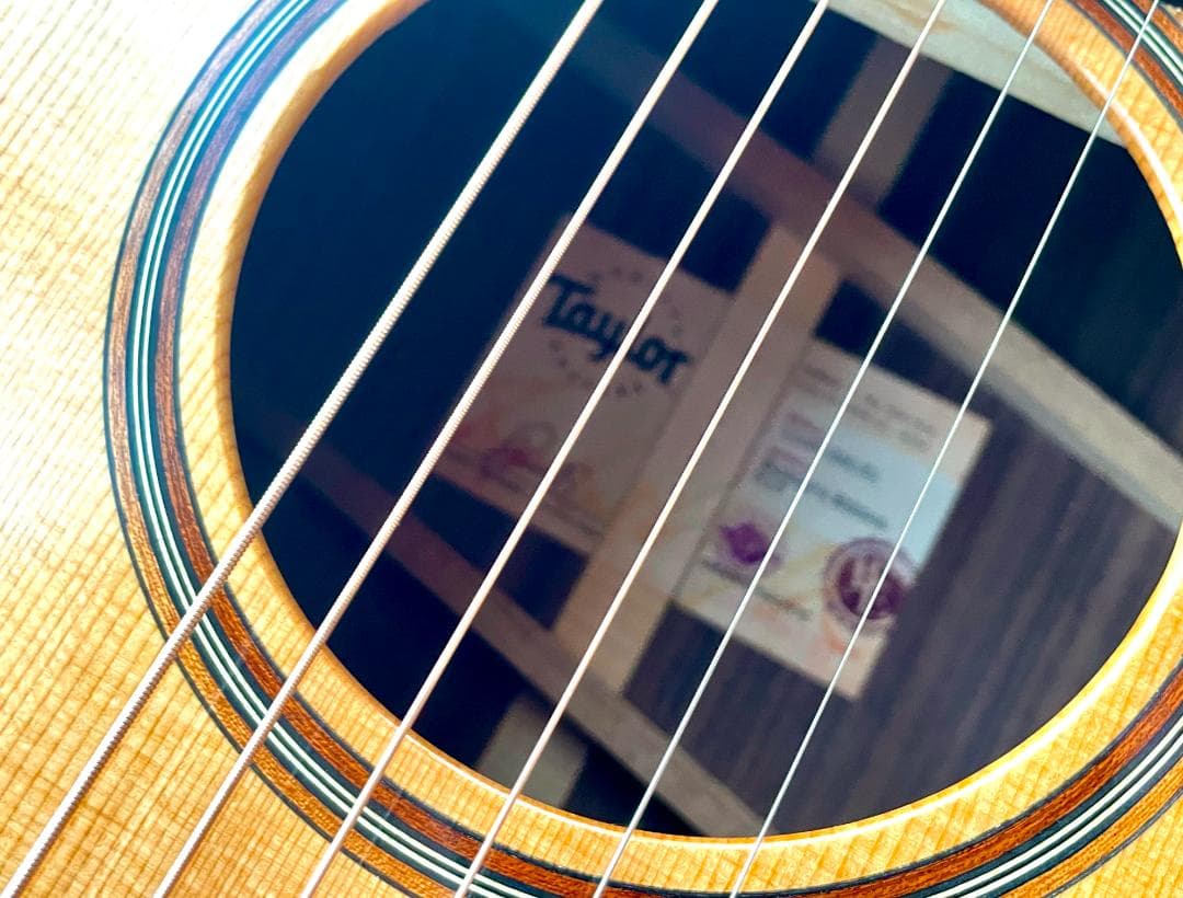 ギター Taylor Guitar 717 - Builder's Edition