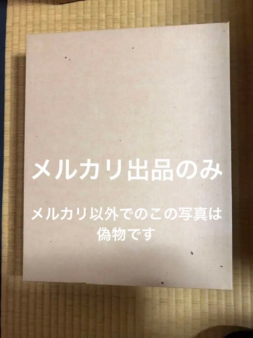 佐藤昭三　真筆画　瑞峰　日本画　未使用　出品撮影まで発送用箱も未開封(購入元記載