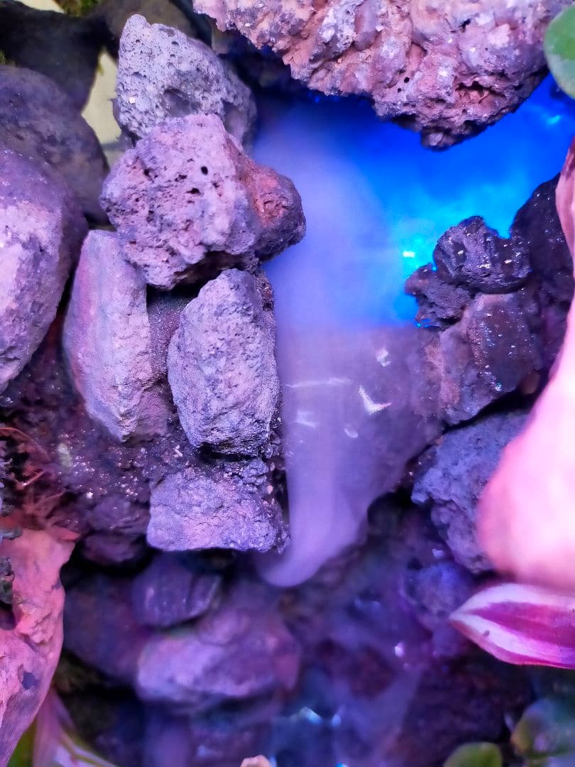 滝の流れる化石と苔のテラリウム、究極の飼育箱（化石、ライト、ミスト、階段付き）