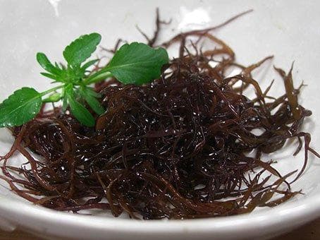 北海道産手摘み天然乾燥寒ふのり500g北海道産業務価格のお徳用大袋特価