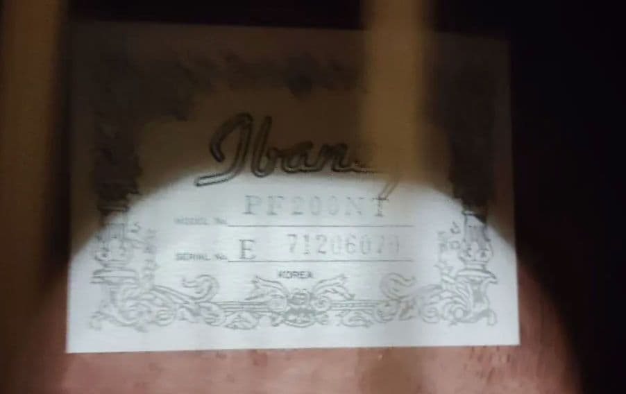 Ibanez PF-200NT アコースティックギター ブビンガ