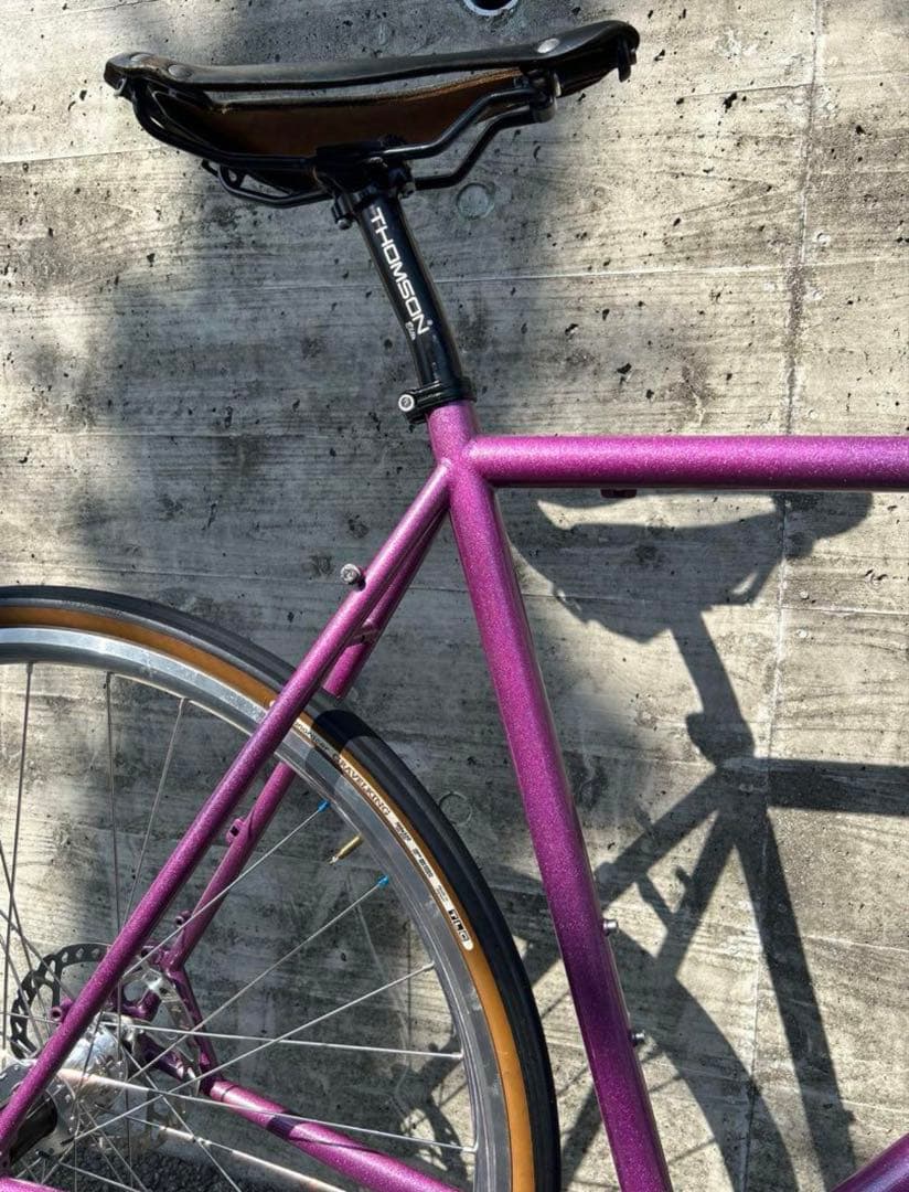 サーリー　ストラグラー　画像のセットプラス　シムワークスタイヤ付き