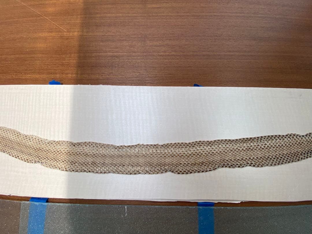 アオダイショウ抜け殻