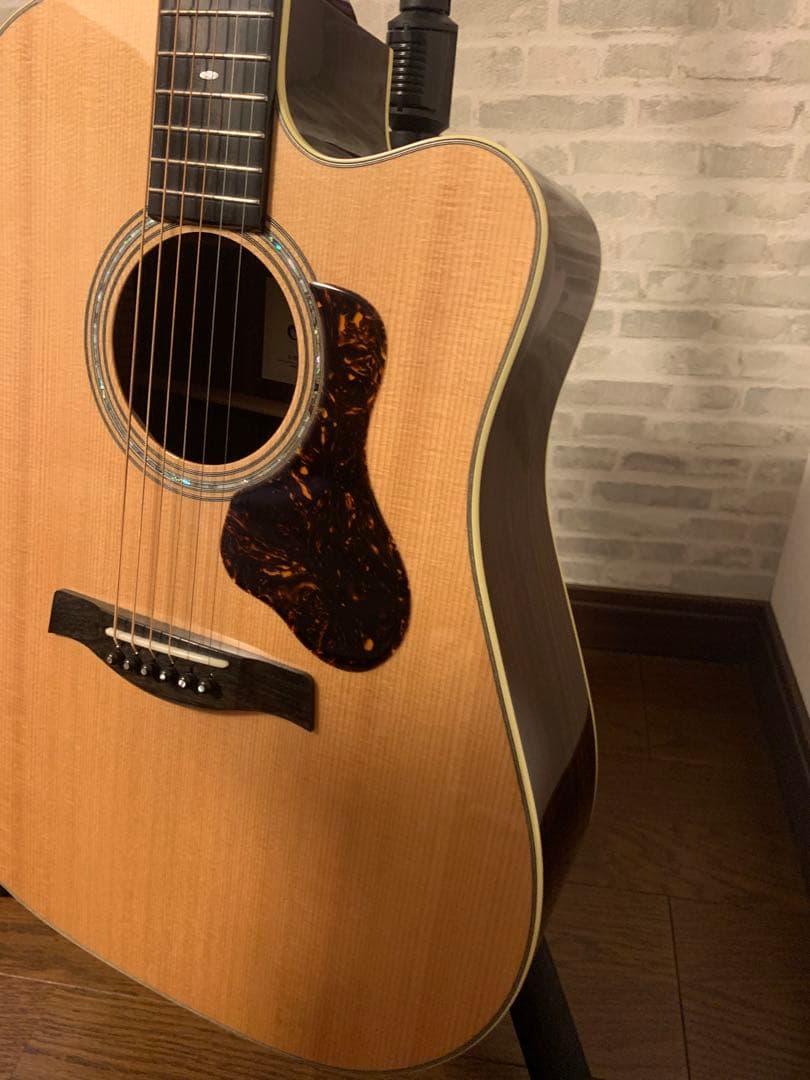 SWITCH D-70C ・switch custom guitar スイッチ