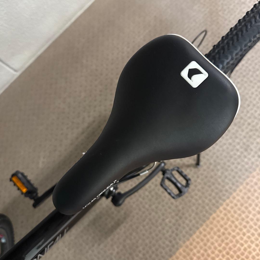 ルイガノ 子ども用自転車 24インチ 300mm 21段変速