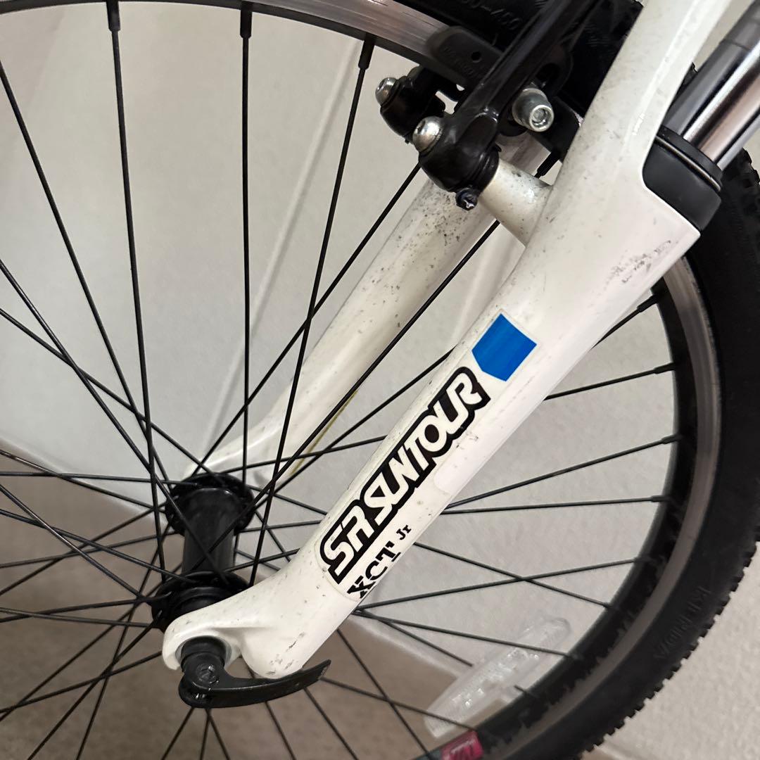 ルイガノ 子ども用自転車 24インチ 300mm 21段変速