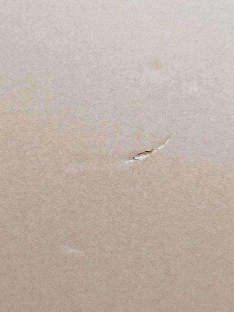 メタルビルド ３体セット ストライクルージュ