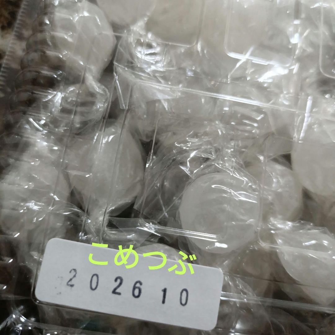 元祖ムラマツ製菓☘️我☘️ラムネ☘️カルピス☘️シャインマスカット