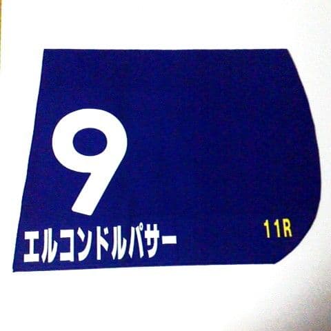 エルコンドルパサー 1998年 NHK マイルカップ レプリカゼッケン