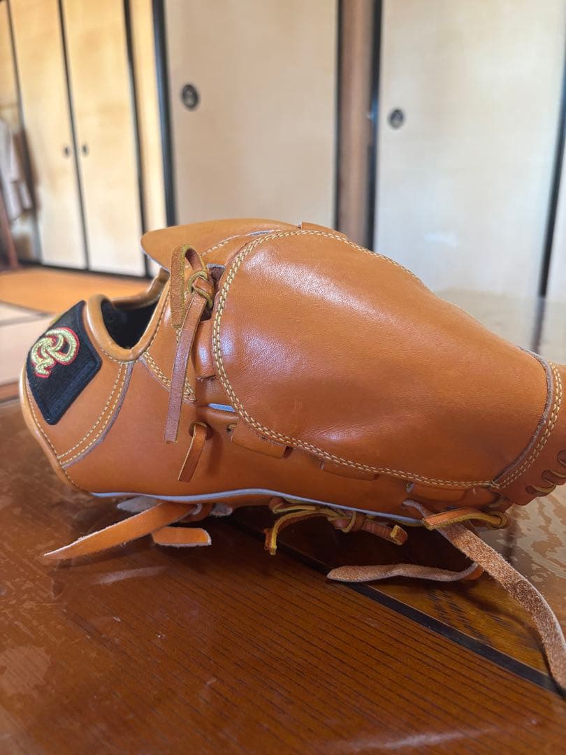 ドナイヤ　投手用グローブ