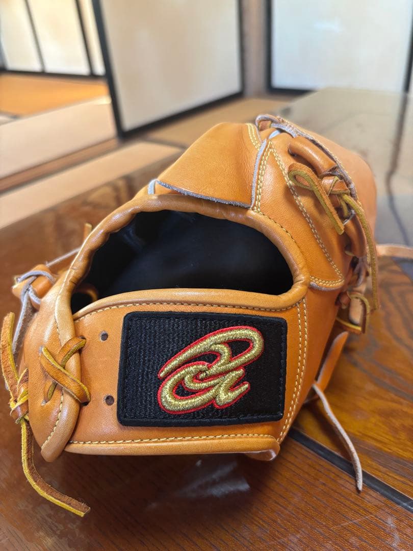 ドナイヤ　投手用グローブ