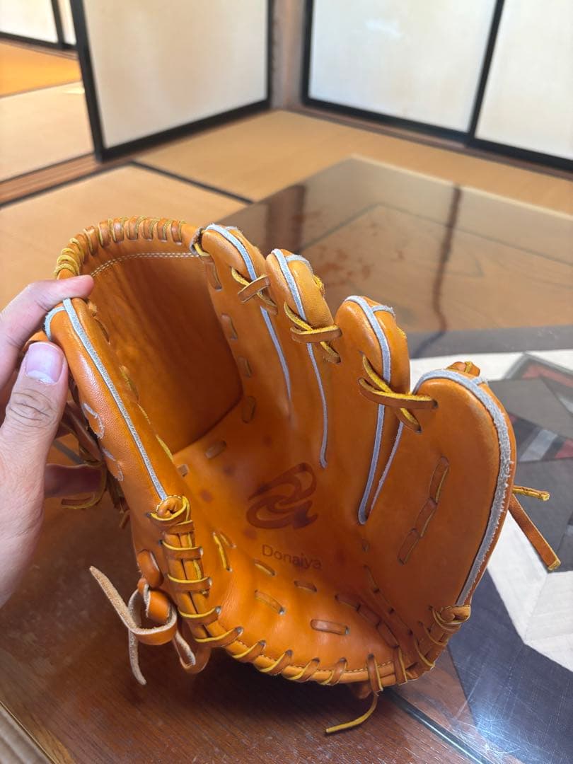 ドナイヤ　投手用グローブ