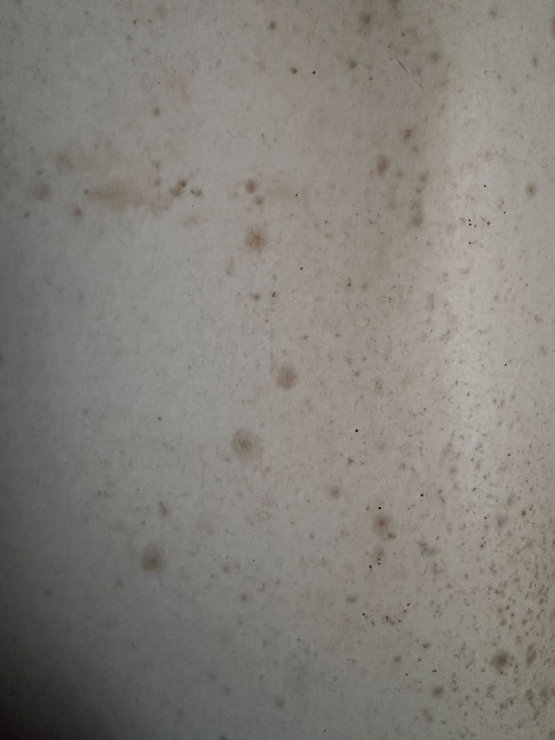 激レア★初期ハローキティ色紙サイズイラスト★ 米窪節子サイン入り（印刷）