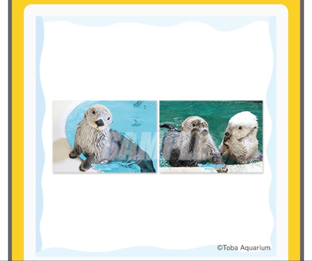 鳥羽水族館 70周年ラッコセット