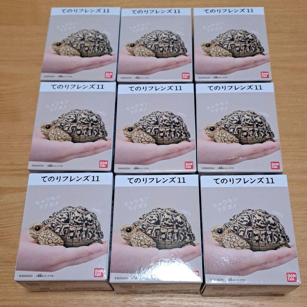 てのリフレンズ11 ヒョウモンリクガメ 9個セット