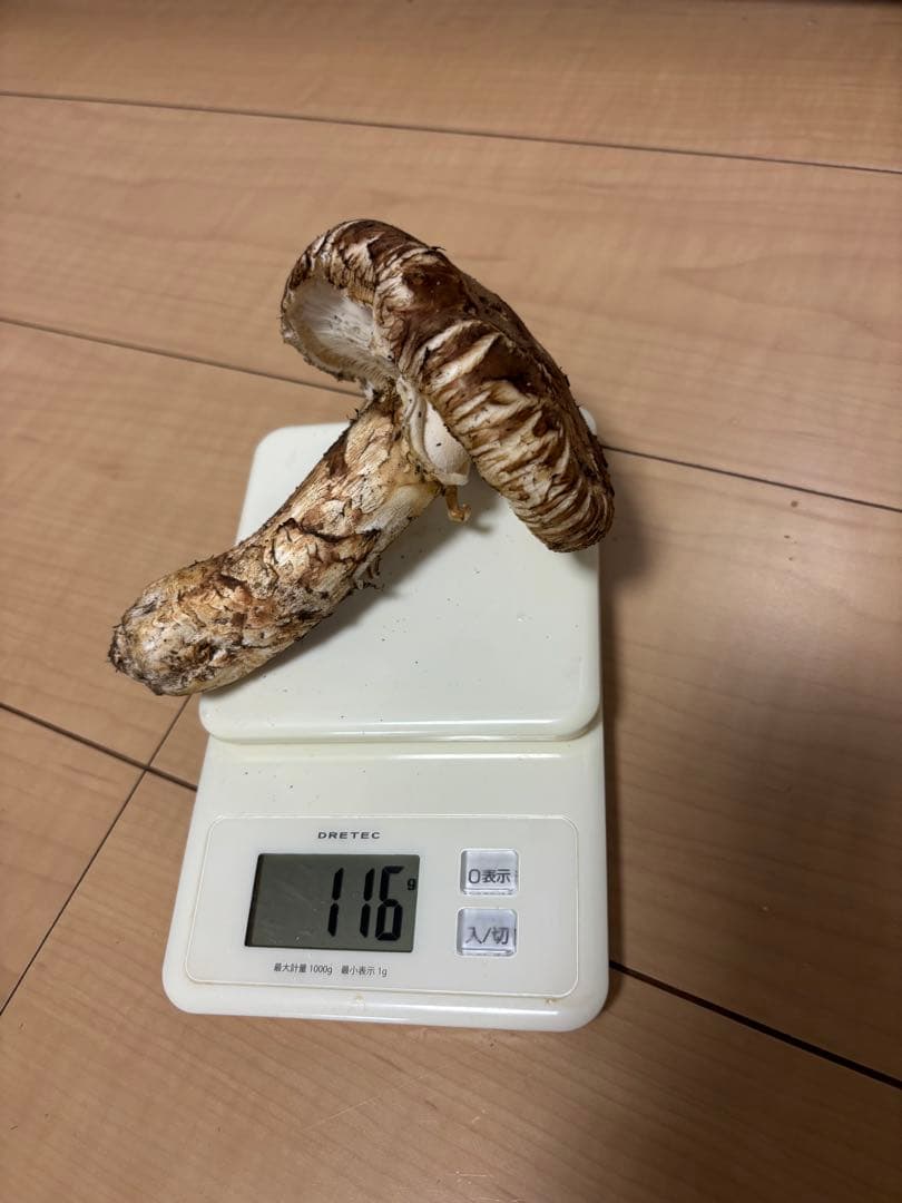 極上松茸 230g 宮城県気仙沼産