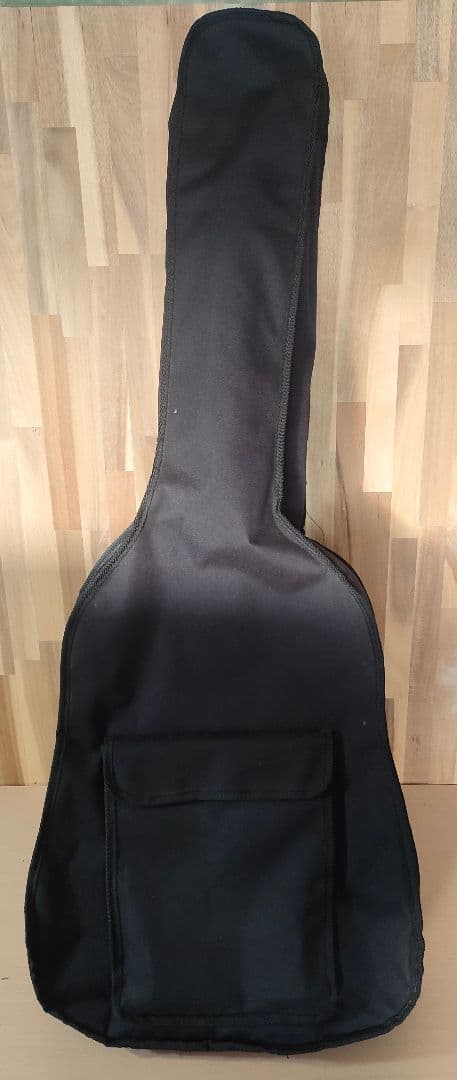 promartin w-180-ts アコースティックギター