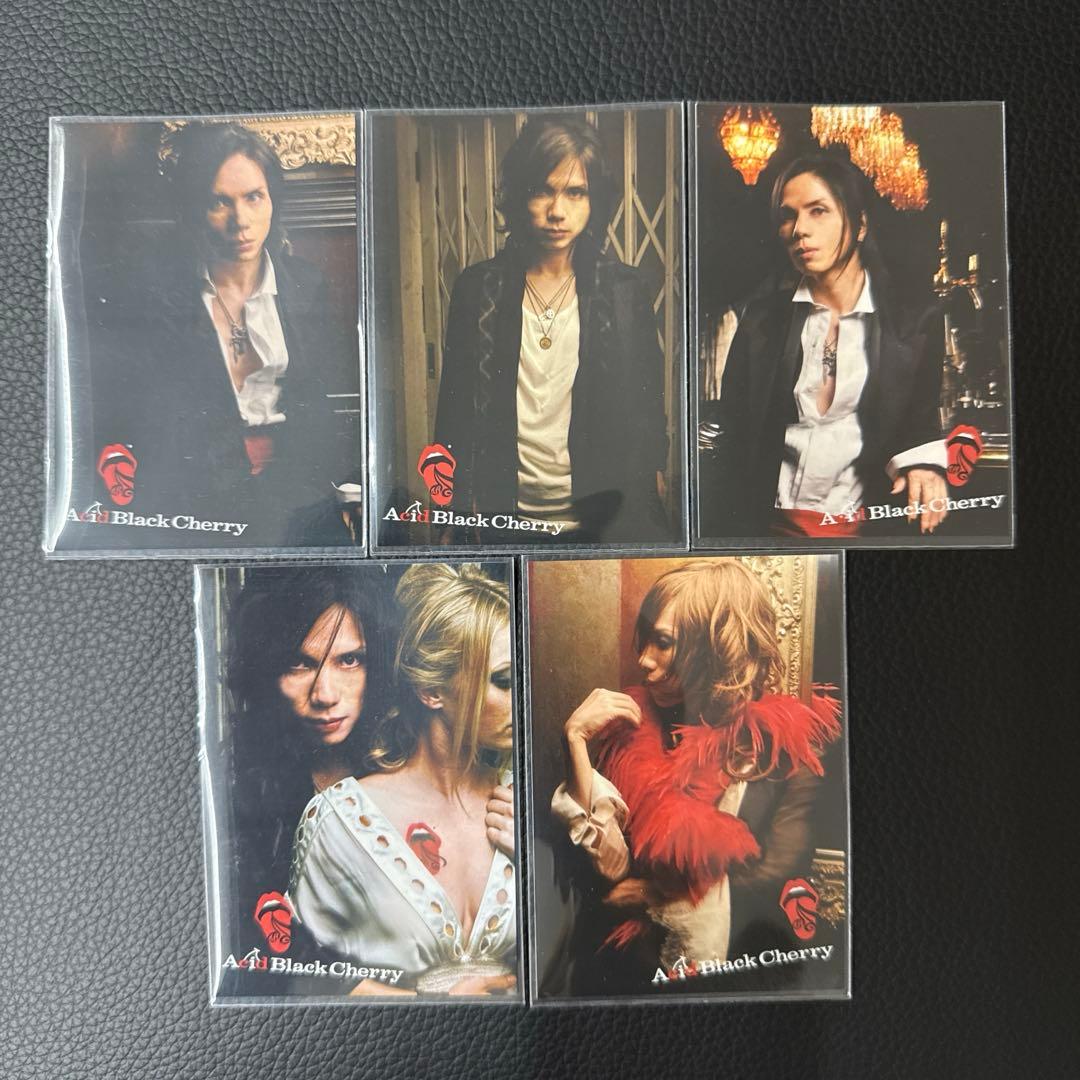 Acid Black Cherry トレカ blackcherry初回特典