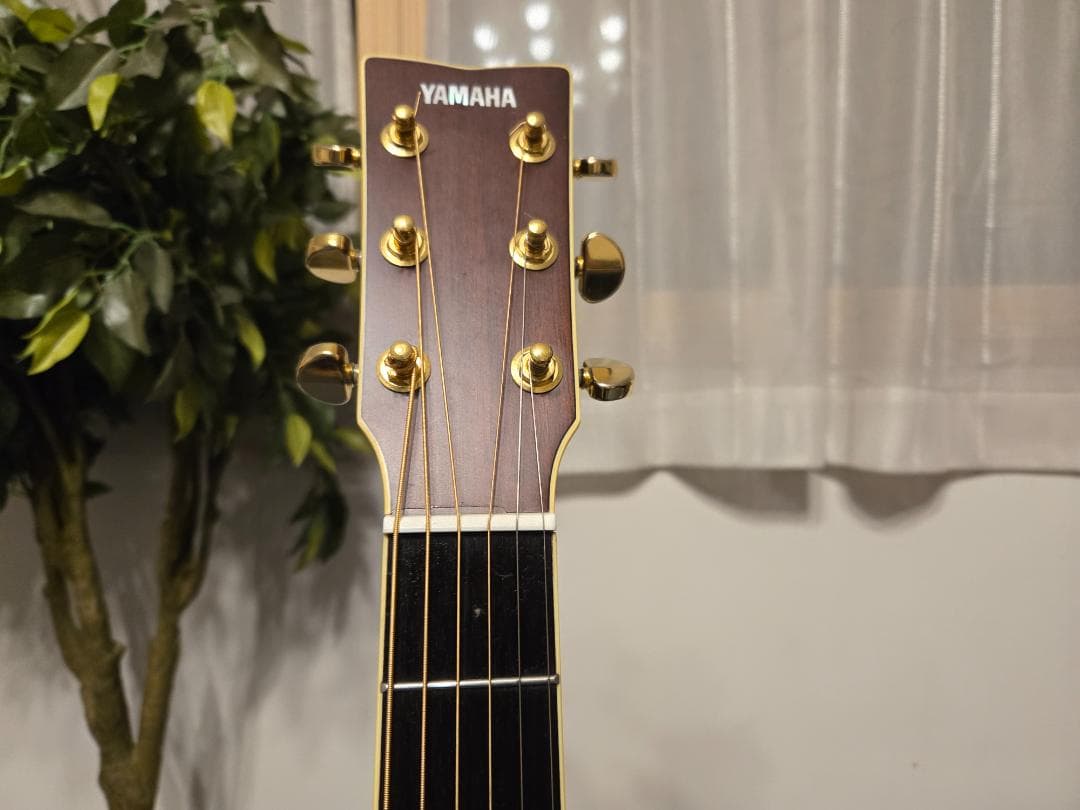 ギター Yamaha LJ16ARE