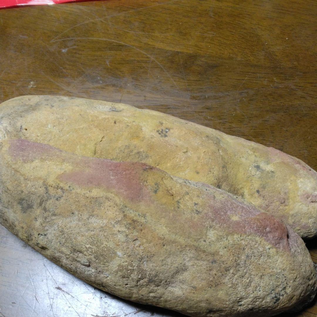 化石　　三葉虫　　石　　古い　　レトロ