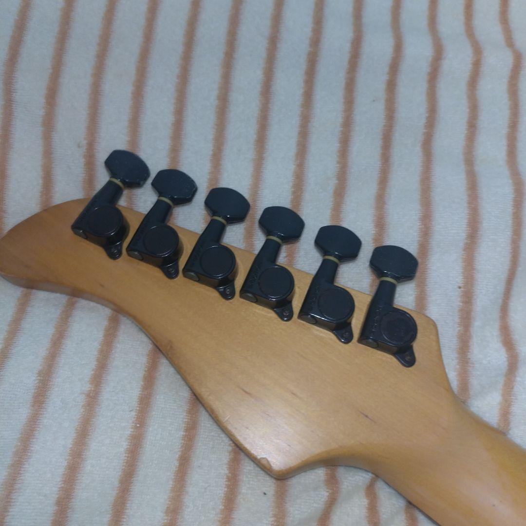 FERNANDES FR-55ソフトケース付