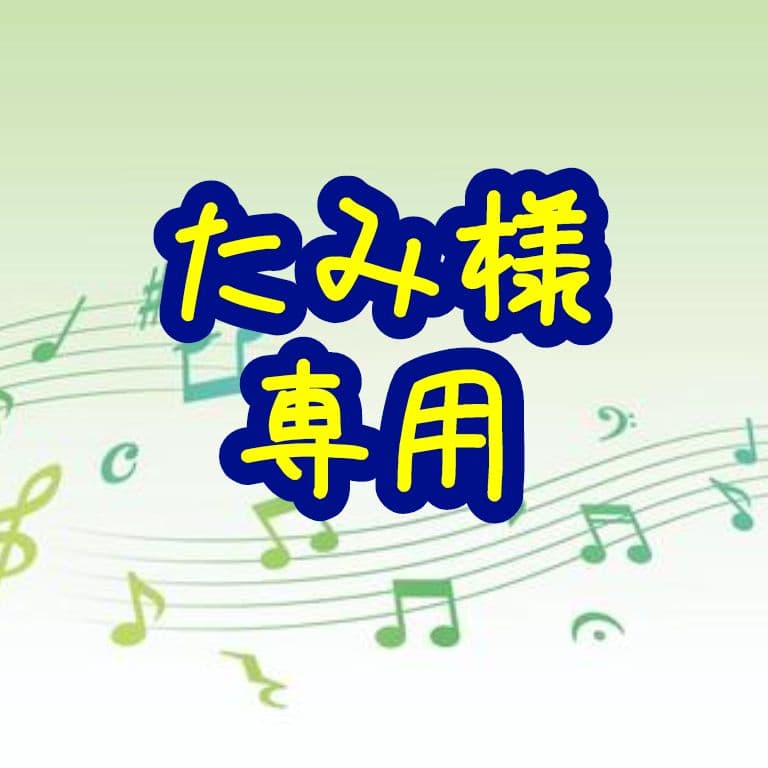 たみ ハードカードケース A5