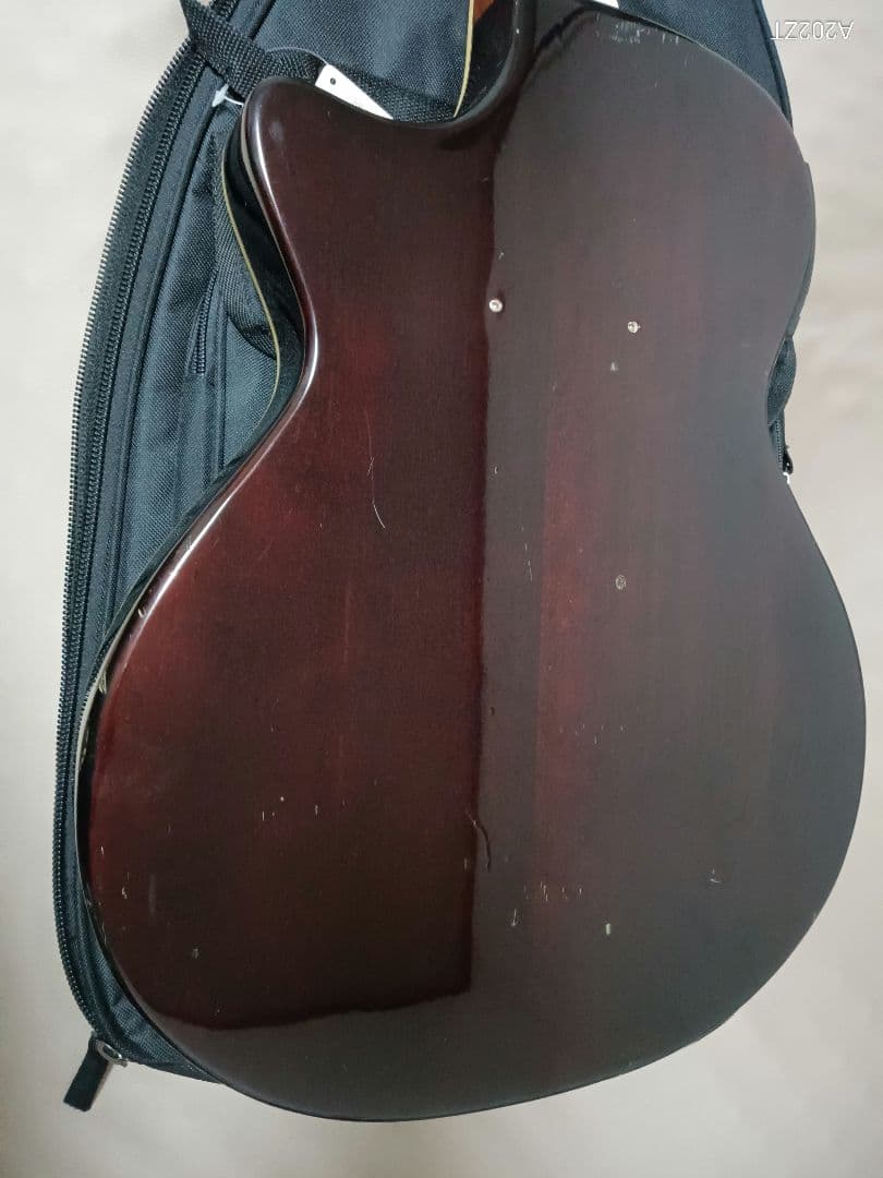 CRAFTER SA-TMVS セミアコ エレキギター ソフトケース付き 動作品