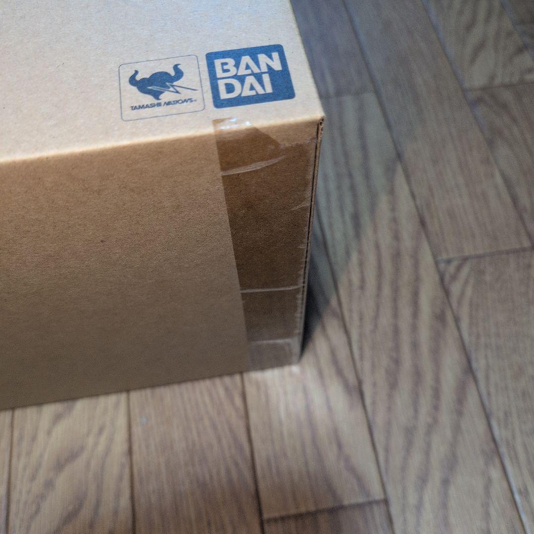 ROBOT魂 ゲー・ドライ 重塗装仕様