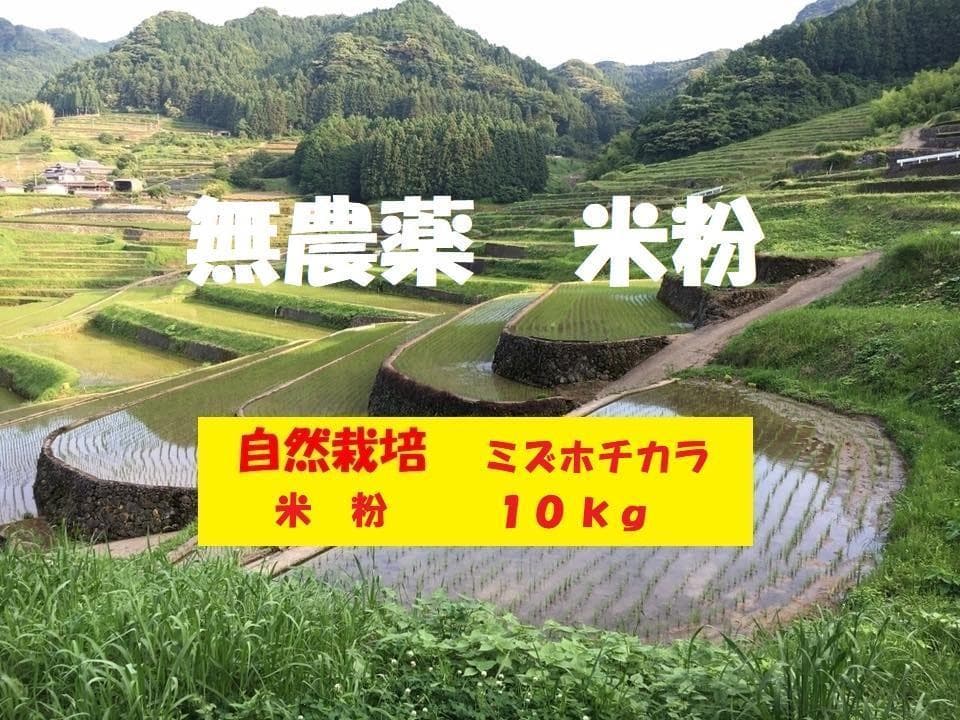 【年始セール】【令和７年産】自然栽培「ミズホチカラ」米粉　１ｋｇ　X　１０袋