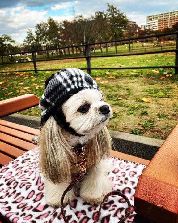 ⭕️ペット・ぬいぐるみ・人形帽子