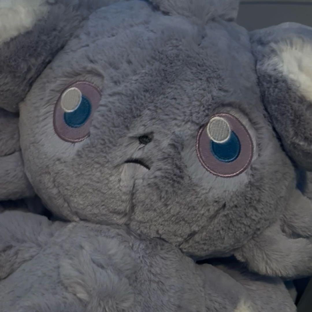 ふわふわ抱きぬいぐるみ ニャスパー　5体セット