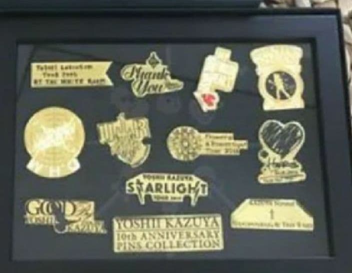 吉井和哉 ソロツアー10th記念 Rust武道館ピンズコレクション