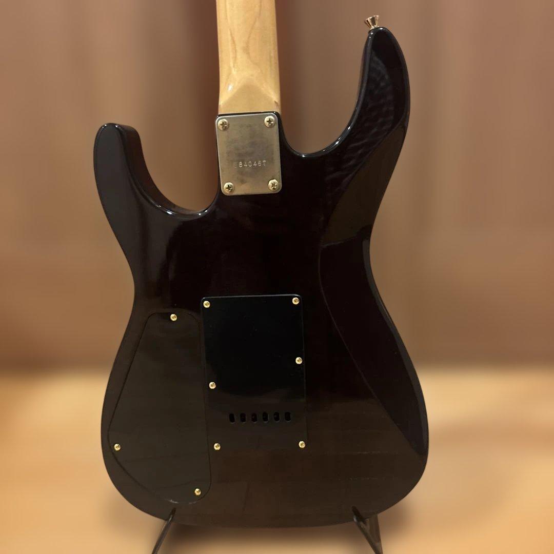 【中村さん専用】Bill Lawrence by Morris GOTOHペグ