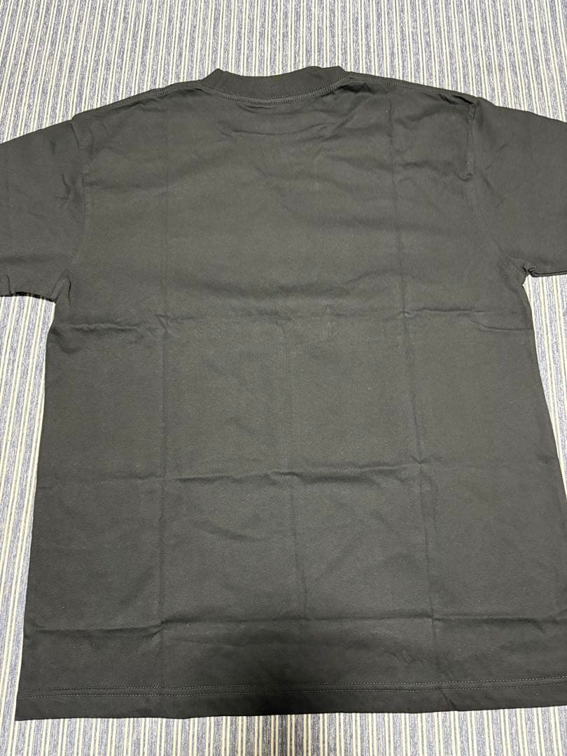 風の谷のナウシカ　ナウシカ　ジブリ　アニメ　ムービー　映画　tシャツ