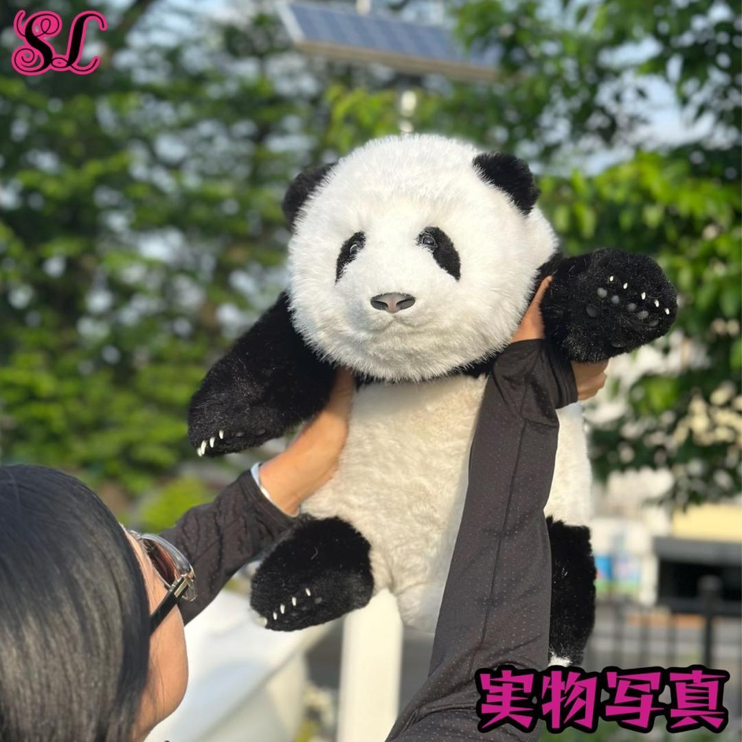 リアルで癒される！5ヶ月齢パンダ ぬいぐるみ登場 ファファ まるで本物！