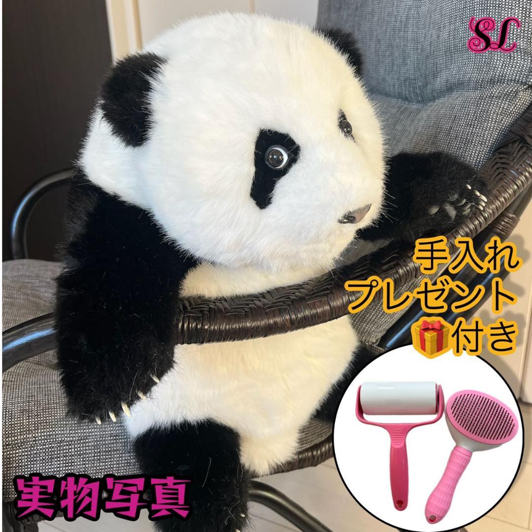 リアルで癒される！5ヶ月齢パンダ ぬいぐるみ登場 ファファ まるで本物！