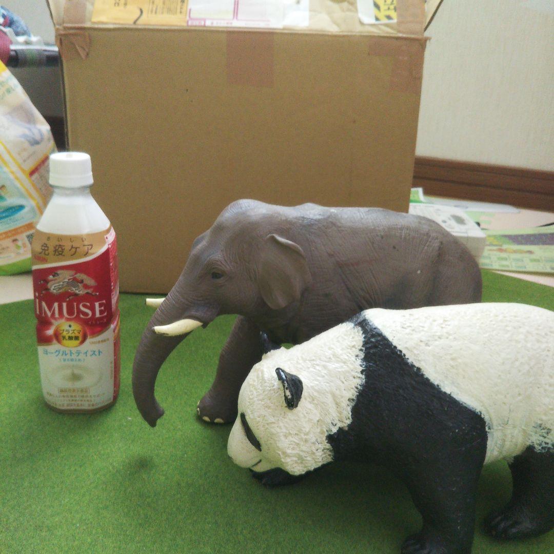 リアルフィギュア&ぬいぐるみset