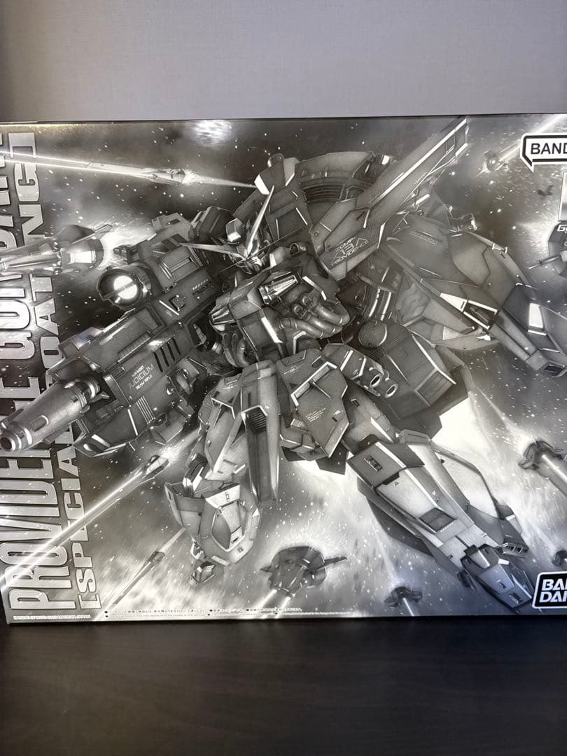 BANDAI ＭＧ　プロヴィデンスガンダム スペシャルコーティング