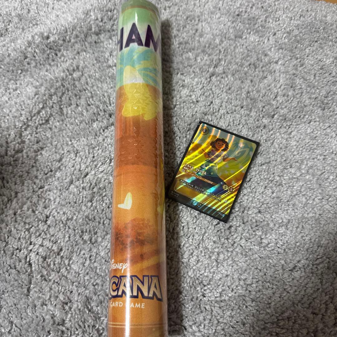 ロルカナ　ミラベル　セットチャンピオンシップ　優勝セット