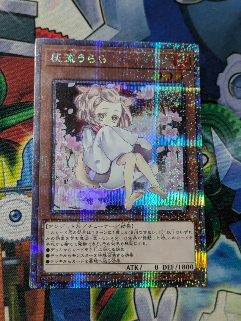 遊戯王　灰流うらら　イラスト違いクオシク25th