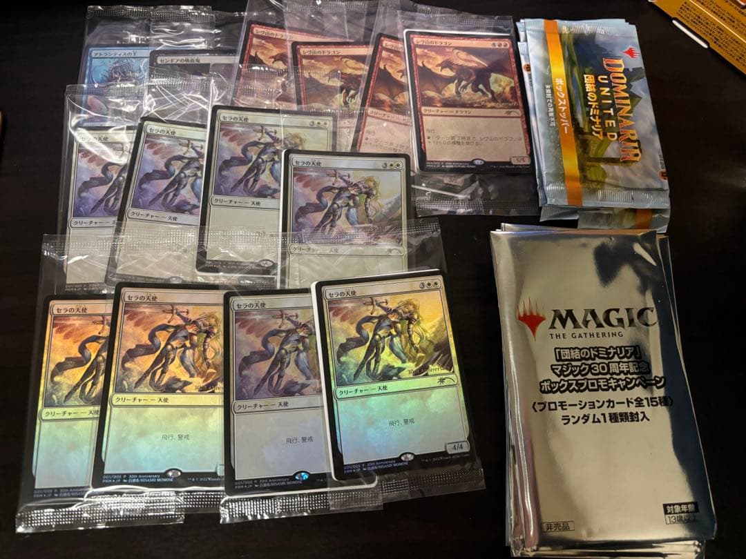 引退品　団結のドミナリア　シェオルドレッド　まとめ売り　foil